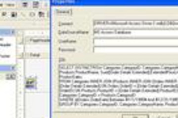 ActiveReports COM预览：